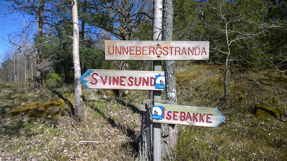Rundtur